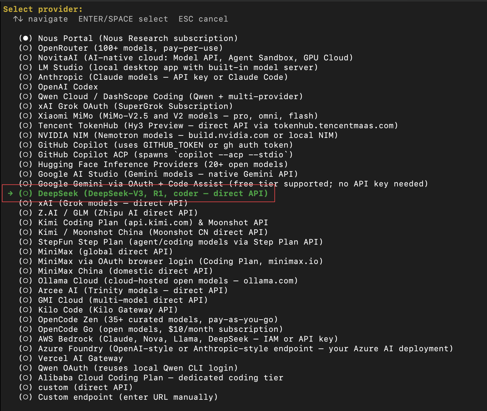 DeepSeek API
