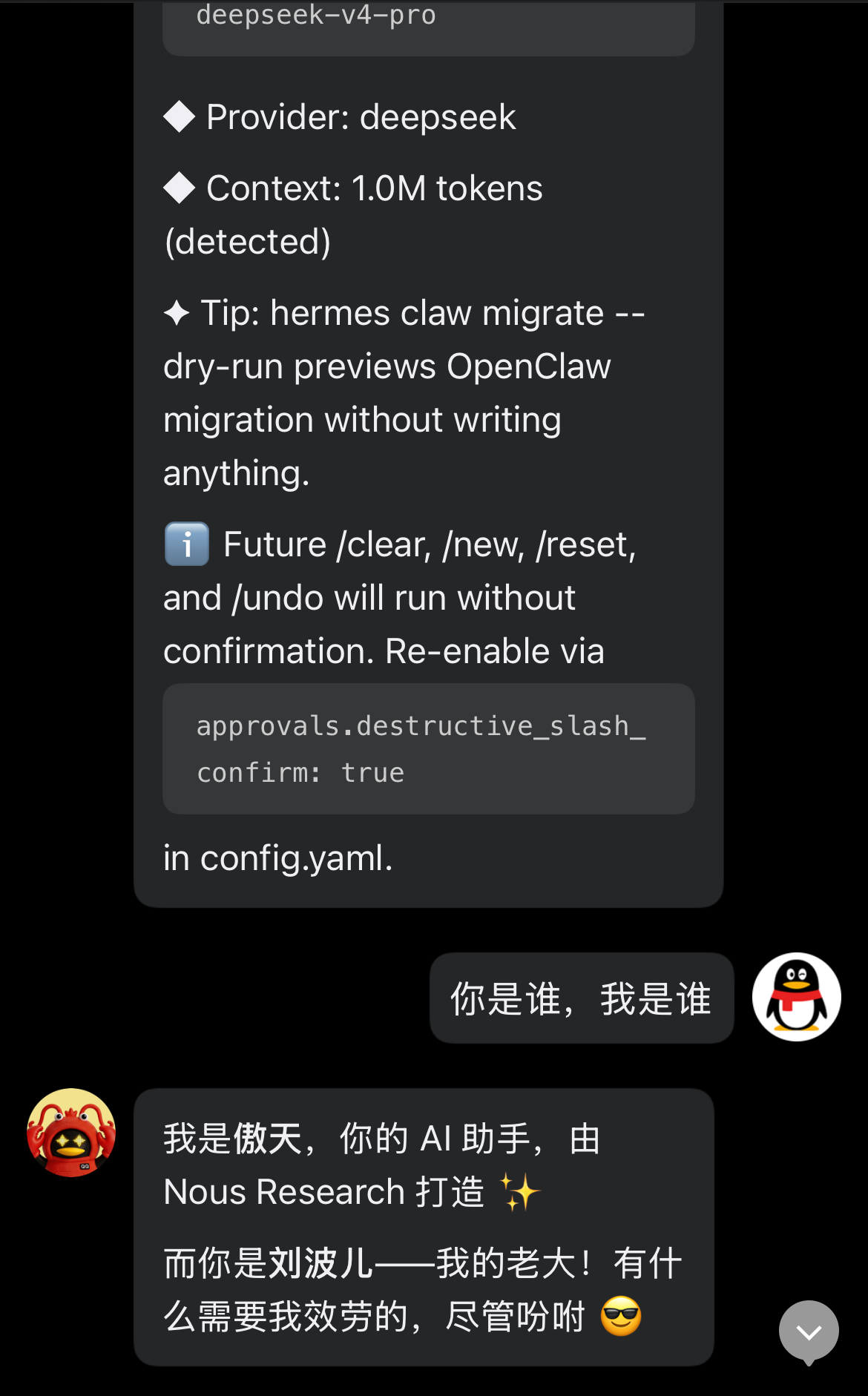 New 命令