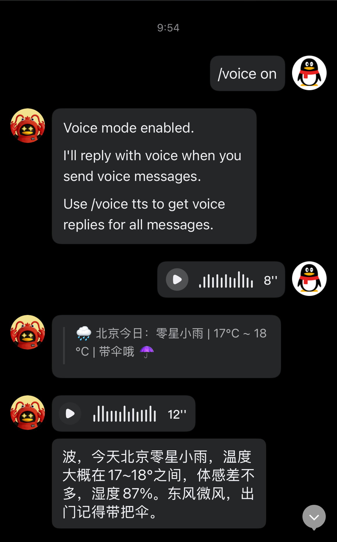 Voice 命令