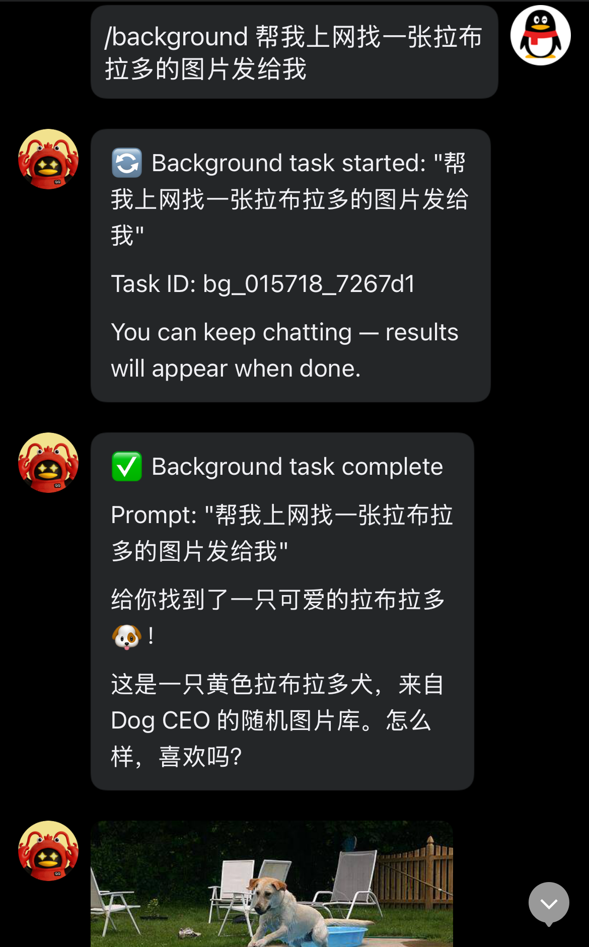 Background 命令